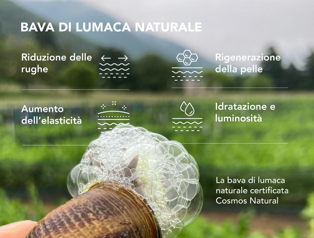 I benefici della bava di lumaca naturale per la rigenerazione della pelle, riduzione delle rughe, e aumento dell'elasticità.