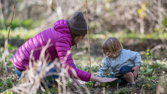 Mamma con bambina che piantano un albero