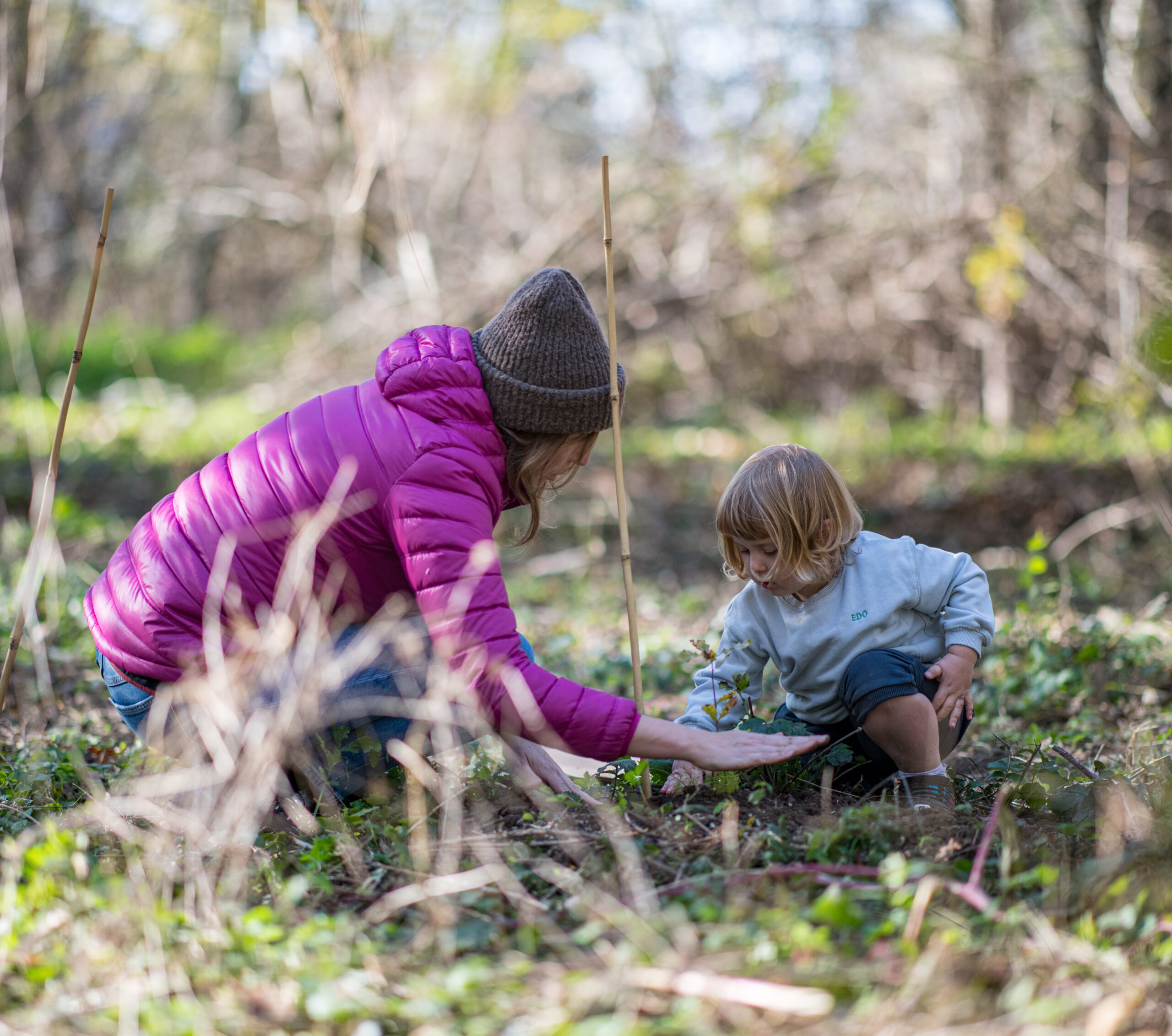 Mamma con bambina che piantano un albero